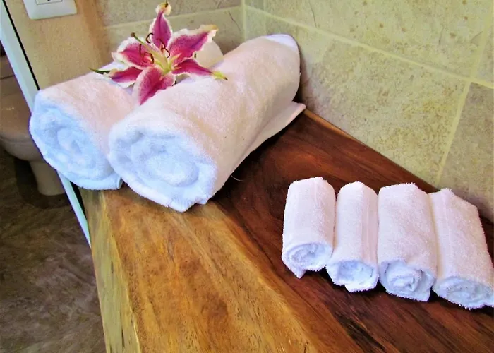 Paraiso Azul Guest house Tamarindo