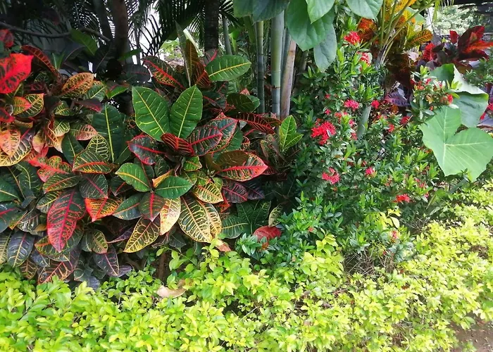 Paraiso Azul Guest house Tamarindo