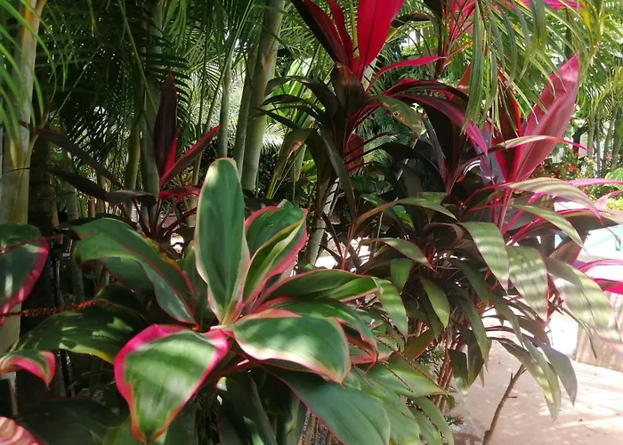Guest house Paraiso Azul