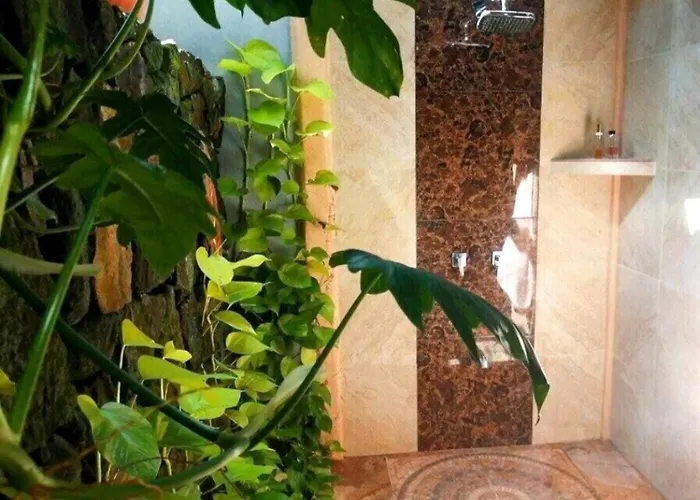 Guest house Paraiso Azul 4*